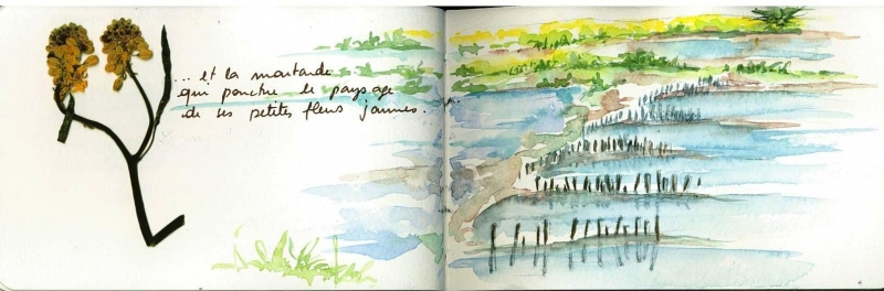 Vagabondage en Île de Ré 7