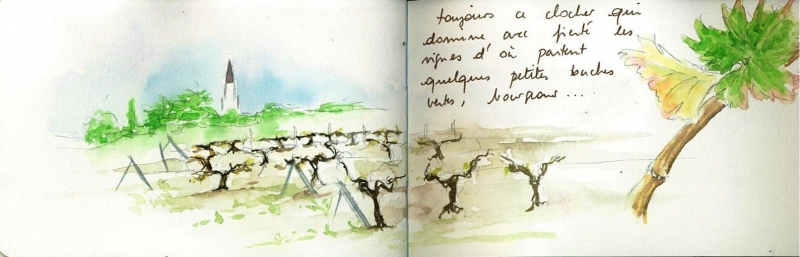 Vagabondage en Île de Ré 9