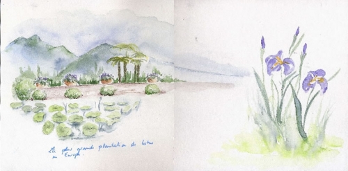 Carnet de voyage a Stresa 6