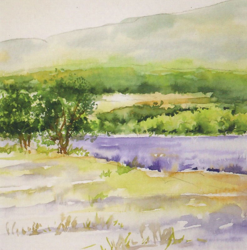 vente aquarelle Lavandes