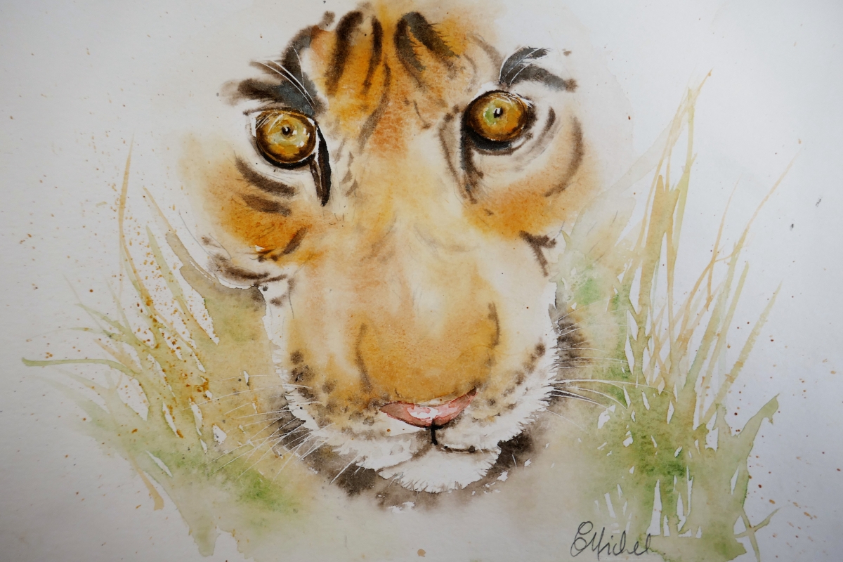 vente aquarelle Regard félin